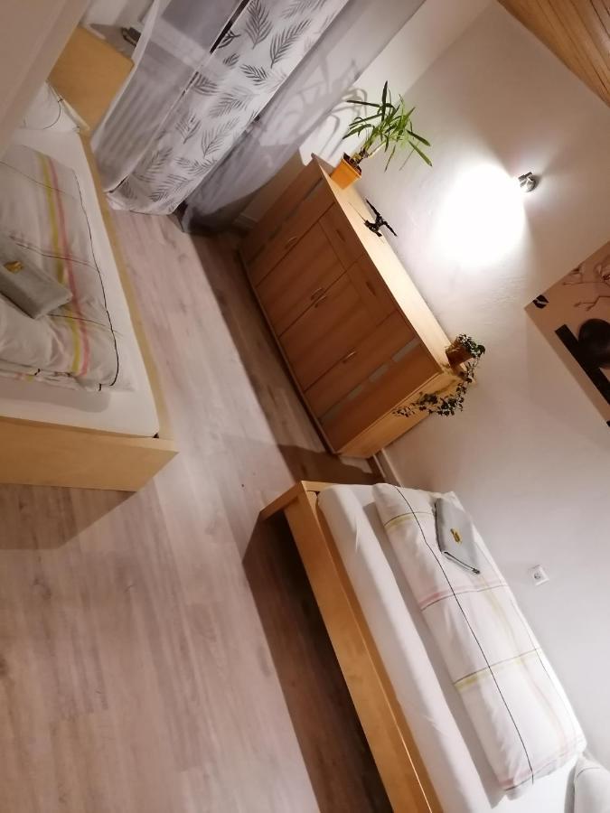Schrammi'S Ferienwohnung Schwanau Εξωτερικό φωτογραφία