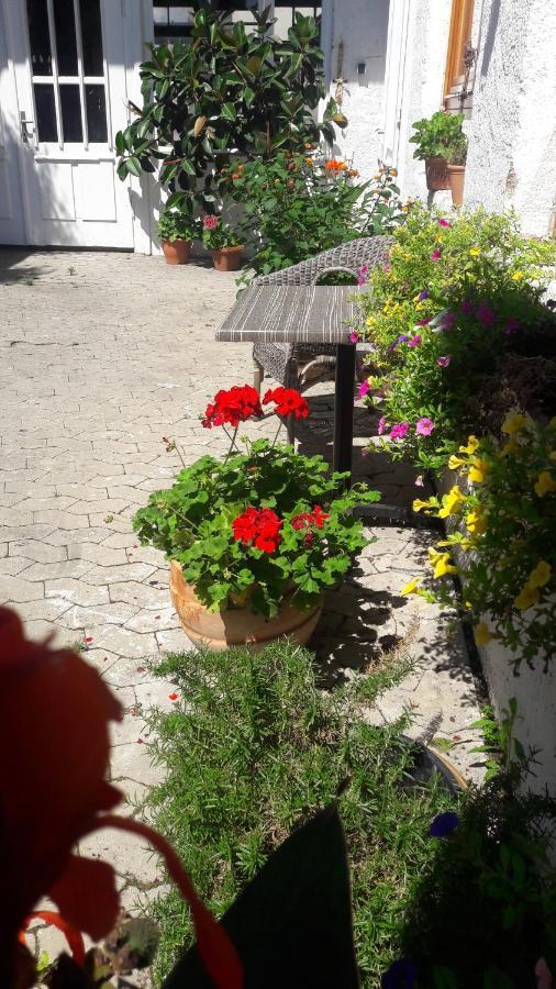 Schrammi'S Ferienwohnung Schwanau Εξωτερικό φωτογραφία